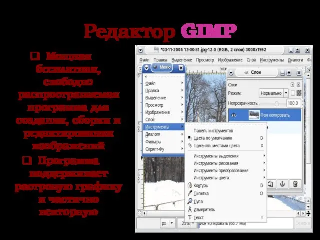 Редактор GIMP Мощная бесплатная, свободно распространяемая программа для создания, сборки и редактирования