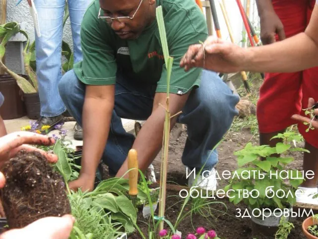 И сделать наше общество более здоровым