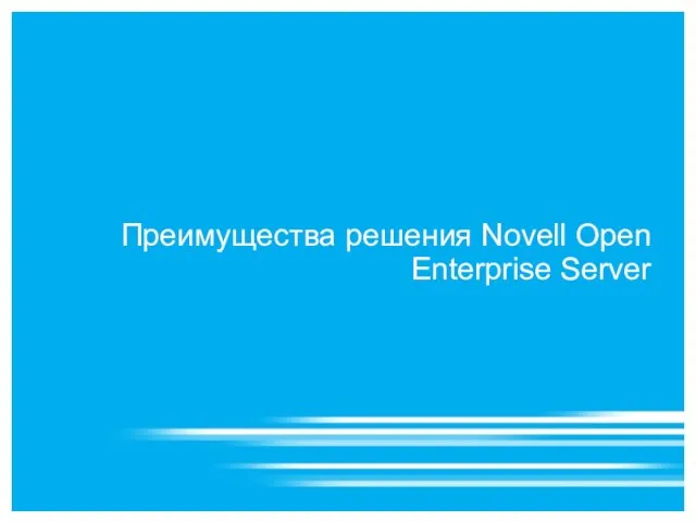 Преимущества решения Novell Open Enterprise Server