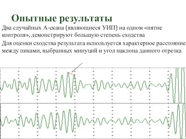 Опытные результаты Два случайных А-скана (являющиеся УИП) на одном «пятне контроля», демонстрируют