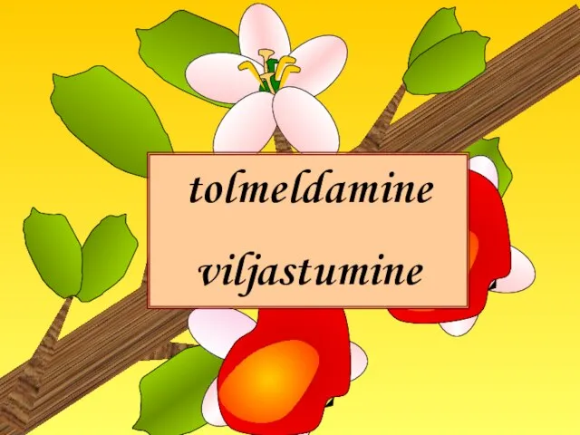 tolmeldamine viljastumine