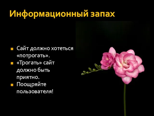 Информационный запах Сайт должно хотеться «потрогать». «Трогать» сайт должно быть приятно. Поощряйте пользователя!