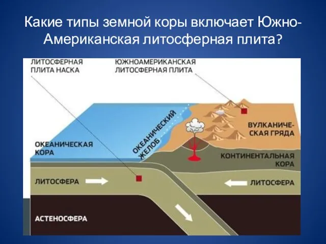 Какие типы земной коры включает Южно-Американская литосферная плита?