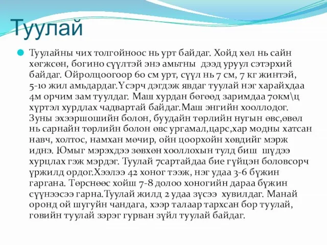 Туулайны чих толгойноос нь урт байдаг. Хойд хөл нь сайн хөгжсөн, богино