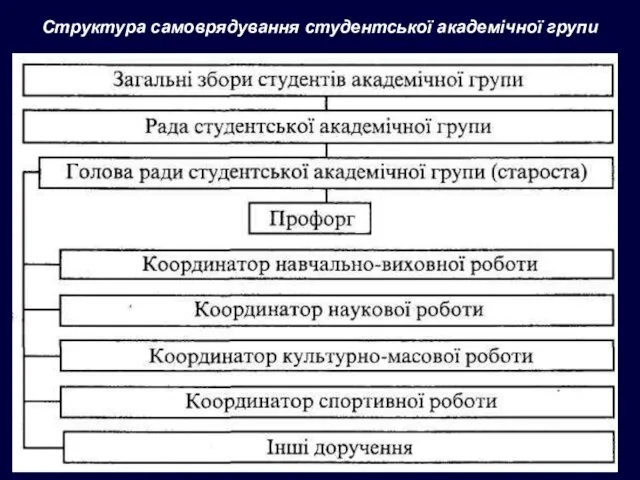 Структура самоврядування студентської академічної групи