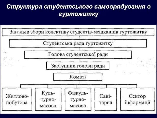 Структура студентського самоврядування в гуртожитку