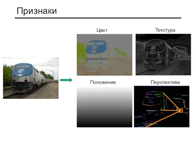 Признаки Положение