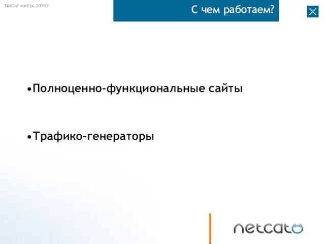 С чем работаем? Полноценно-функциональные сайты Трафико-генераторы