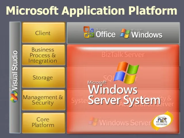 Microsoft Application Platform