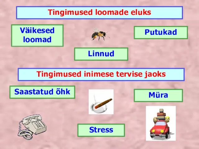 Tingimused loomade eluks Tingimused inimese tervise jaoks Väikesed loomad Linnud Putukad Müra Stress Saastatud õhk