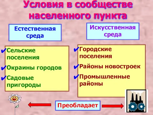 Условия в сообществе населенного пункта Естественная среда Искусственная среда Сельские поселения Окраины