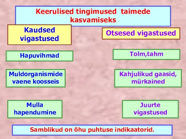 Keerulised tingimused taimede kasvamiseks Mulla hapendumine Muldorganismide vaene koosseis Juurte vigastused Tolm,tahm