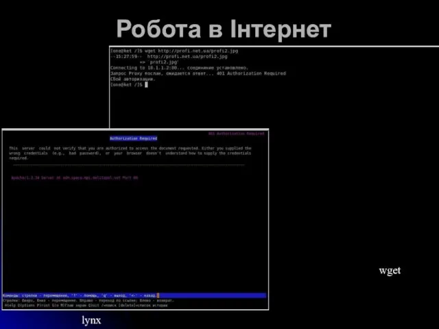 Робота в Інтернет lynx wget