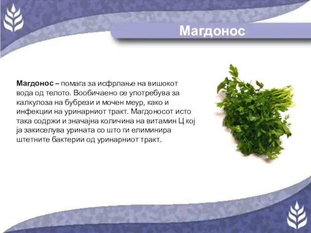 Магдонос Магдонос – помага за исфрлање на вишокот вода од телото. Вообичаено