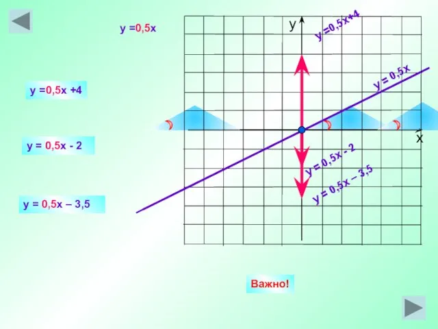 y = 0,5x y =0,5x+4 y = 0,5x - 2 y =0,5x