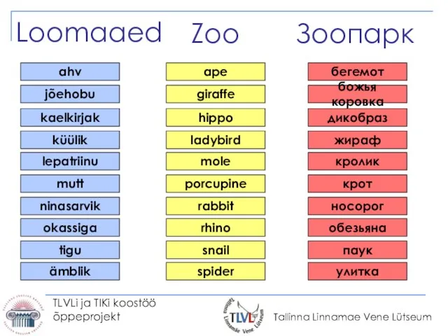 TLVLi ja TIKi koostöö õppeprojekt Loomaaed Зоопарк ahv бегемот ape jõehobu божья