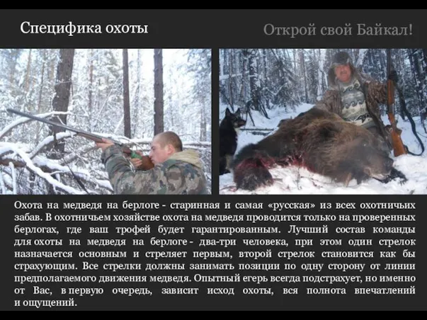 Специфика охоты Охота на медведя на берлоге - старинная и самая «русская»