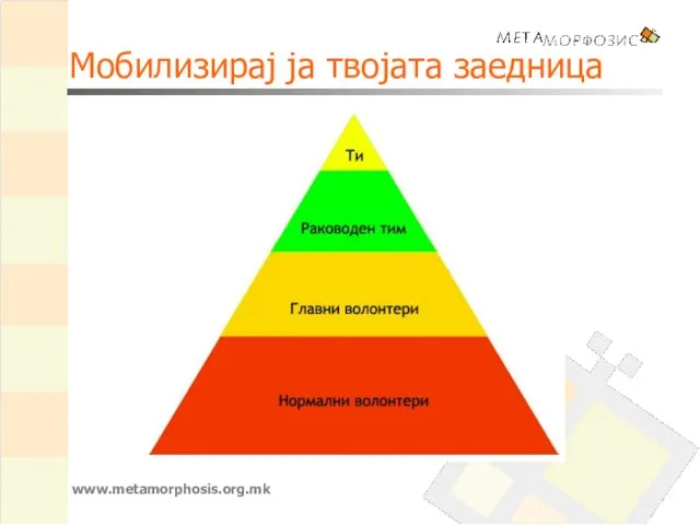 Мобилизирај ја твојата заедница www.metamorphosis.org.mk