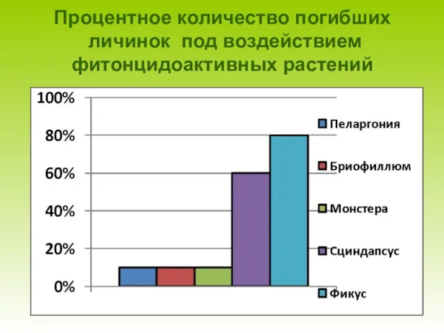 Процентное количество погибших личинок под воздействием фитонцидоактивных растений