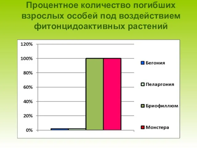 Процентное количество погибших взрослых особей под воздействием фитонцидоактивных растений