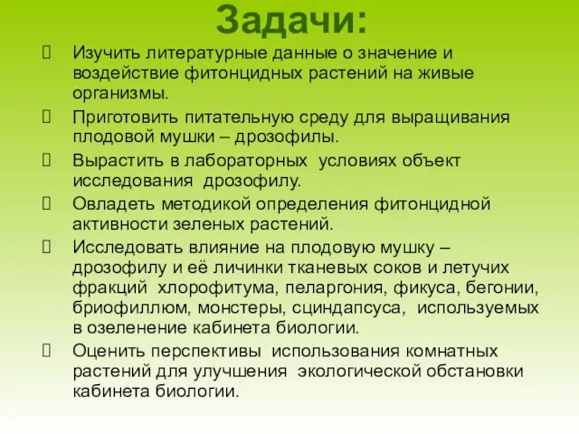 Задачи: Изучить литературные данные о значение и воздействие фитонцидных растений на живые