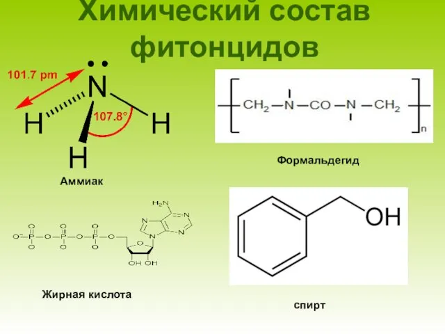 Химический состав фитонцидов Аммиак Жирная кислота Формальдегид спирт