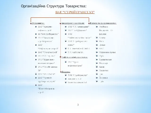 Організаційна Структура Товариства: