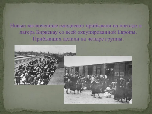 Новые заключенные ежедневно прибывали на поездах в лагерь Биркенау со всей оккупированной