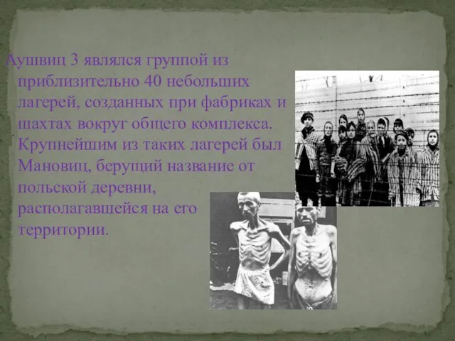 Аушвиц 3 являлся группой из приблизительно 40 небольших лагерей, созданных при фабриках