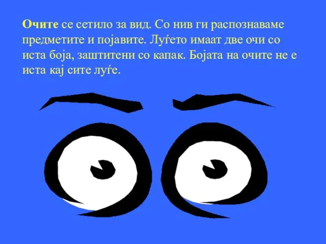 Очите се сетило за вид. Со нив ги распознаваме предметите и појавите.