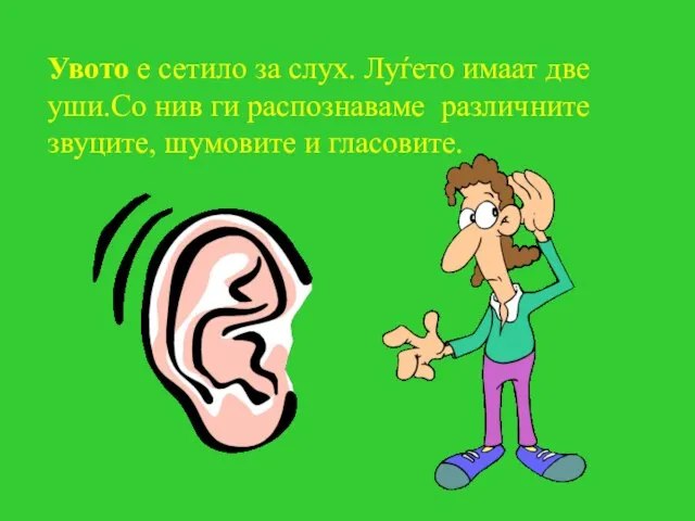 Увото е сетило за слух. Луѓето имаат две уши.Со нив ги распознаваме