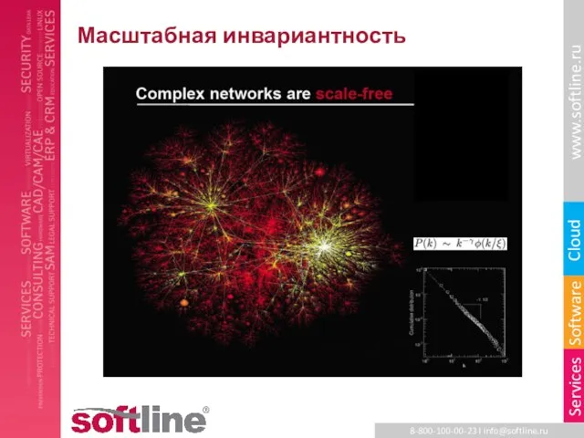 Масштабная инвариантность