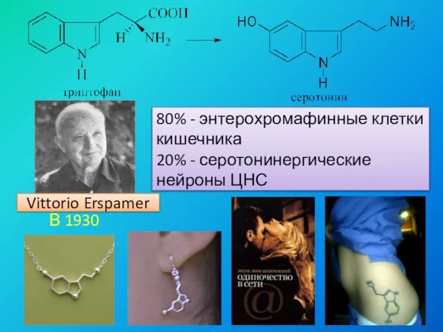 Vittorio Erspamer В 1930 году. 80% - энтерохромафинные клетки кишечника 20% - серотонинергические нейроны ЦНС