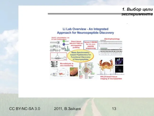CC BY-NC-SA 3.0 2011, В.Зайцев 1. Выбор цели эксперимента