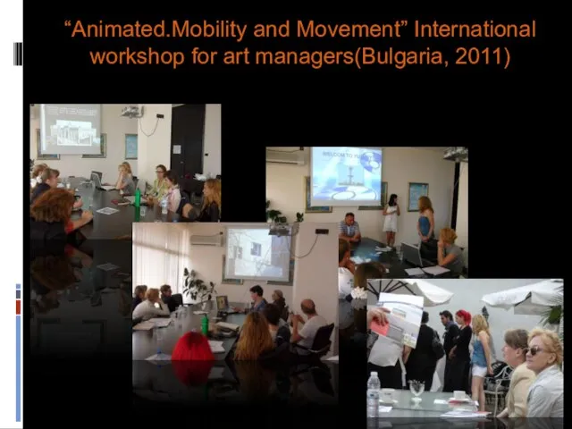 “Animated.Mobility and Movement” International workshop for art managers(Bulgaria, 2011)