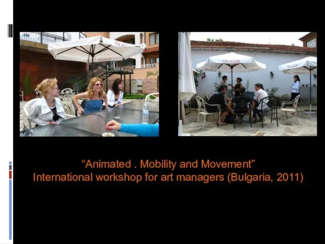 “Animated . Mobility and Movement” International workshop for art managers (Bulgaria, 2011)