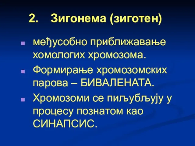 Зигонема (зиготен) међусобно приближавање хомологих хромозома. Формирање хромозомских парова – БИВАЛЕНАТА. Хромозоми