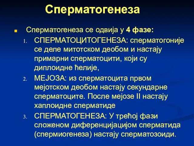 Сперматогенеза се одвија у 4 фазе: СПЕРМАТОЦИТОГЕНЕЗА: сперматогоније се деле митотском деобом