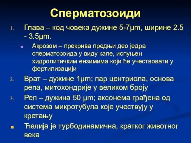 Сперматозоиди Глава – код човека дужине 5-7μm, ширине 2.5 - 3.5μm. Акрозом