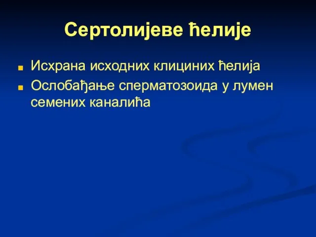 Сертолијеве ћелије Исхрана исходних клициних ћелија Ослобађање сперматозоида у лумен семених каналића