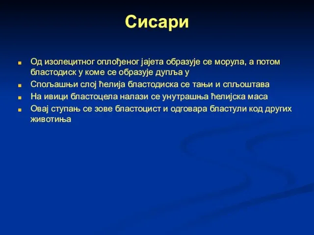 Сисари Од изолецитног оплођеног јајета образује се морула, а потом бластодиск у