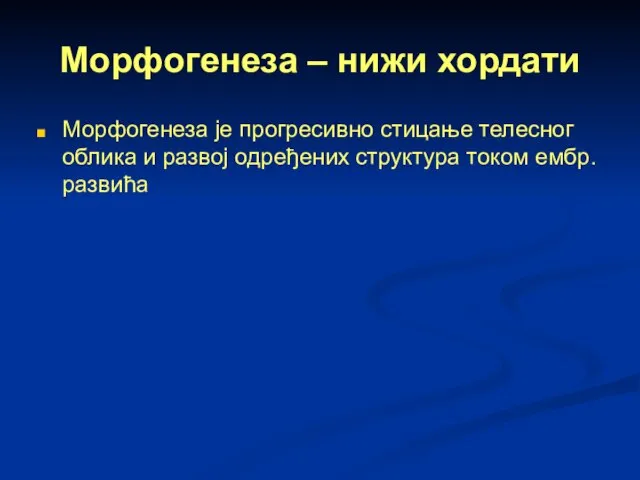 Морфогенеза – нижи хордати Морфогенеза је прогресивно стицање телесног облика и развој