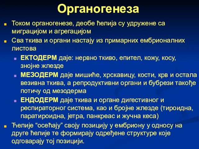 Органогенеза Током органогенезе, деобе ћелија су удружене са миграцијом и агрегацијом Сва