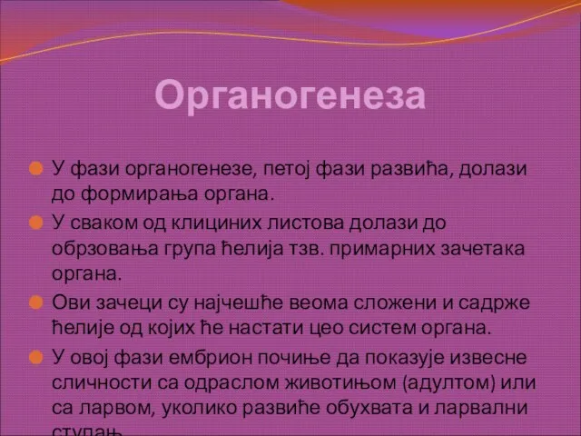 Органогенеза У фази органогенезе, петој фази развића, долази до формирања органа. У