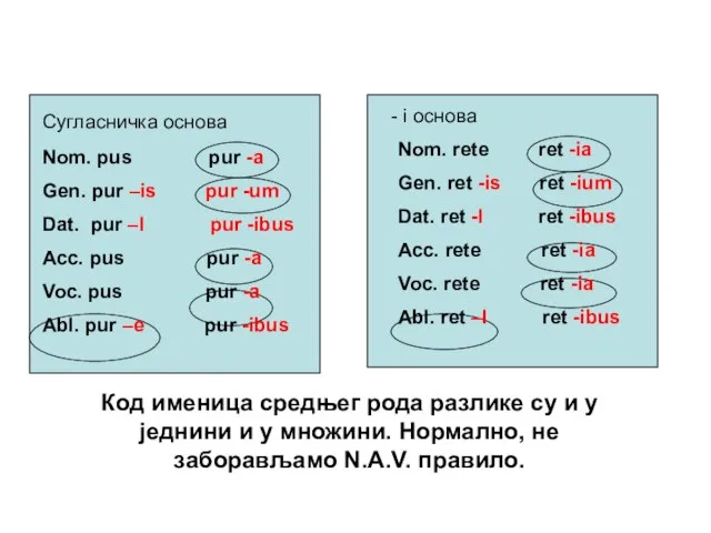 Nom. pus pur -a Gen. pur –is pur -um Dat. pur –I