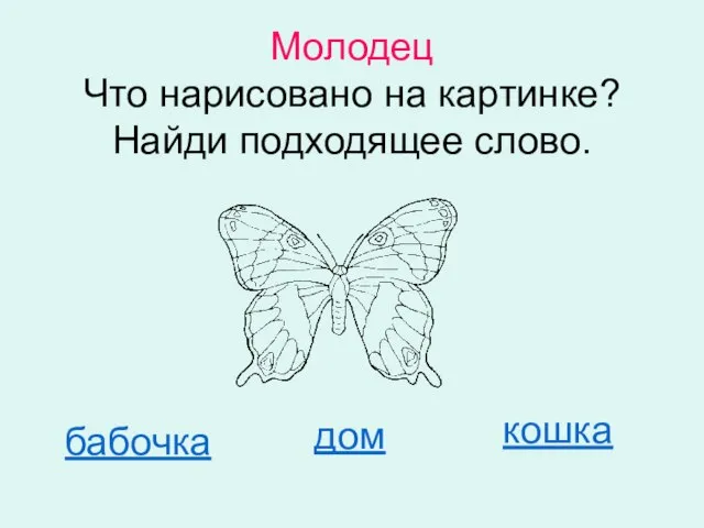 Молодец Что нарисовано на картинке? Найди подходящее слово. бабочка дом кошка