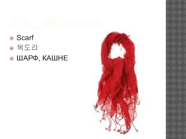 Õ¿Ç¿¿ÍÈÉ ÀË÷ÓÓÐ Scarf 목도리 ШАРФ, КАШНЕ