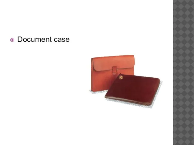 Document case