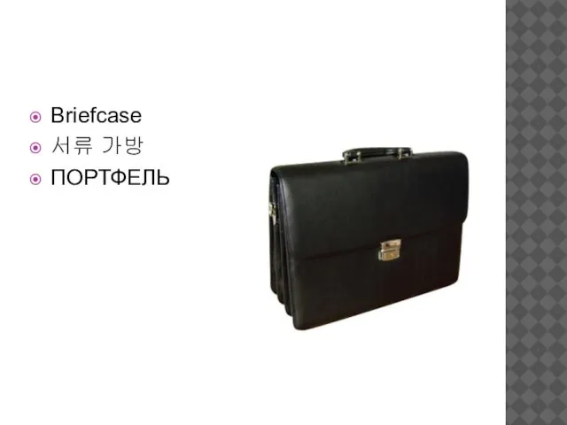 Briefcase 서류 가방 ПОРТФЕЛЬ