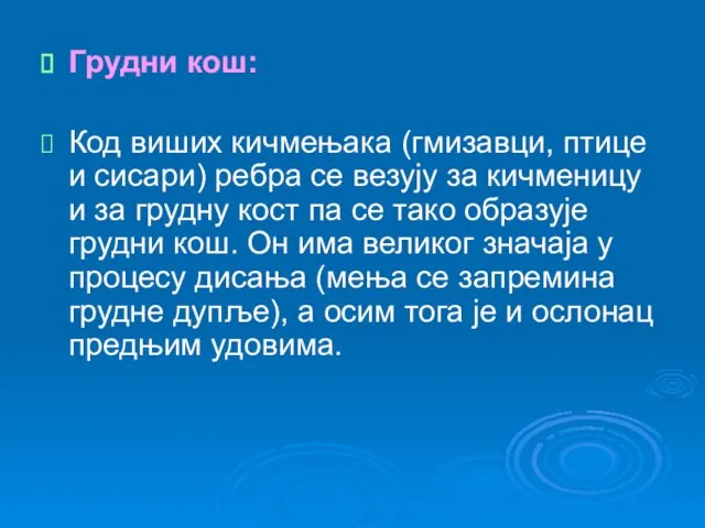 Грудни кош: Код виших кичмењака (гмизавци, птице и сисари) ребра се везују